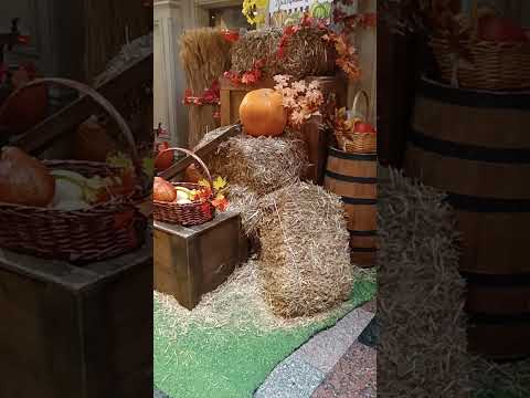 Видео: Прогулка по ГУМу