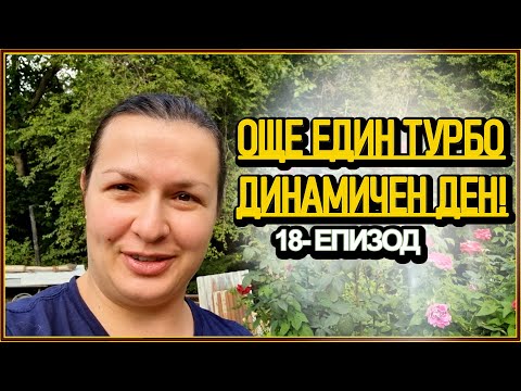 Видео: Битката за доматите НЕ СПИРА! Започваме ремонта на терасата - живот на село с @didoikali