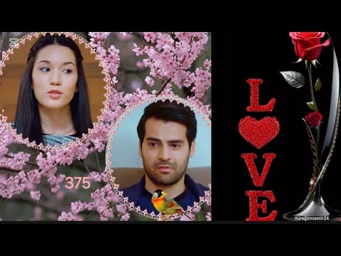 Видео: Потрясающие снимки Эркана и Хазал#erkanmeriç#hazalsubasi#yenidizi#explore#