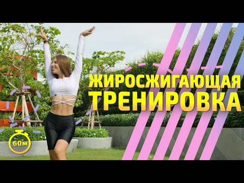 Видео: ШАГОВАЯ ТРЕНИРОВКА |  ЖИРОСЖИГАЮЩАЯ ТРЕНИРОВКА БЕЗ ПРЫЖКОВ | Фитнес интенсив ТРАНСФОРМАЦИЯ