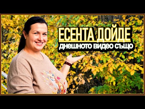 Видео: Един обикновен ден на село… или не съвсем 🍂 | Подготовка за първия сняг ❄️