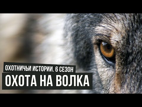Видео: Охота на волка \ Охотничьи истории \ #3