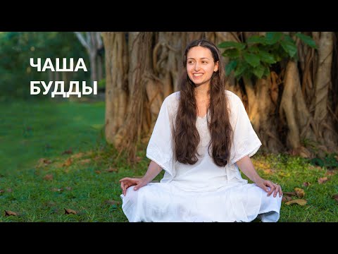 Видео: ЧАША БУДДЫ | Питание просветлённого