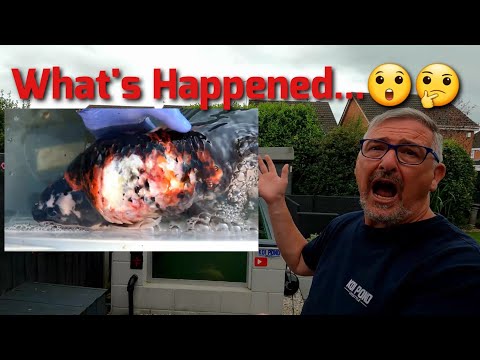 Видео: КАК ВОДЯНКА ПОВЛИЯЛА НА ЗДОРОВЬЕ ПРУДОВ С КОПАМИ КОИ, НО ЧТО Я МОГУ С ЭТИМ СДЕЛАТЬ?**🤔 ВОДЯНЫЕ ТР...