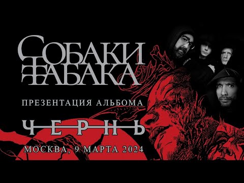 Видео: СОБАКИ ТАБАКА - Презентация альбома Ч-Е-Р-Н-Ь