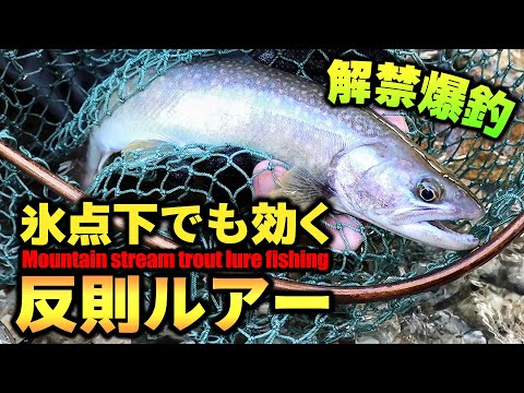 Видео: Как использовать уловистый траулер "Bottom Knock Immers"