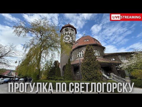 Видео: Светлогорск - город расположенный в лесу. Прогулка по улицам и набережным Светлогорска