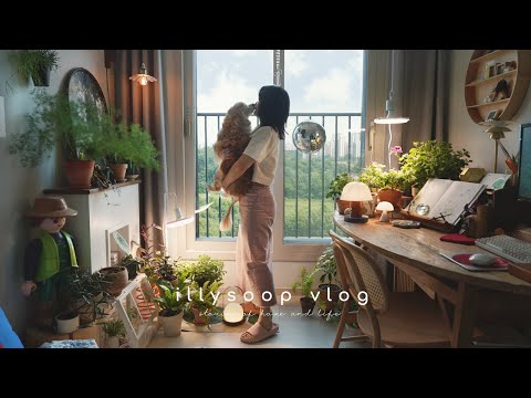 Видео: Они расцвели после одного простого изменения 🌱 17 прекрасных растений для уютного дома 💚 Летний влог