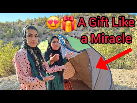 Видео: Бездомная семья спасена от суровой зимы ❄️🏕️ | Трогательная история из жизни