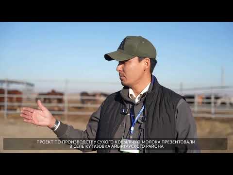 Видео: В СКО открыли первую ферму по производству сухого кобыльего молока