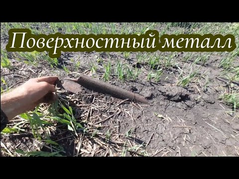 Видео: Собираю металл на поверхности на старом урочище