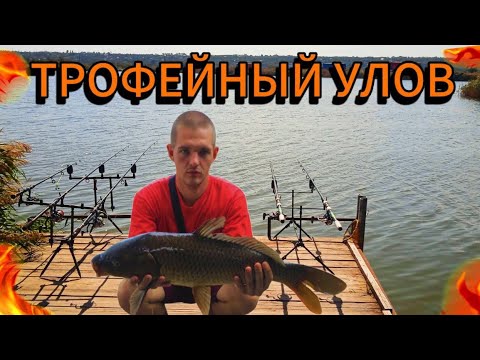Видео: РЫБАЛКА В СЕНТЯБРЕ НА КАРПА! НА ЧТО ЛОВИТ ? РЕКОРДЫ)
