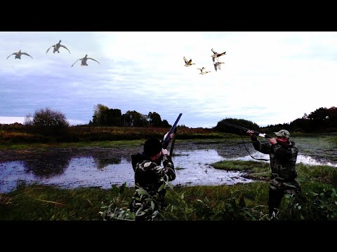 Видео: На это озеро летит одна Кряква. Охота на утку с чучелами!!!