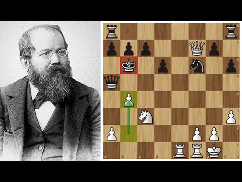Видео: "Король может защищать себя сам" В.Стейниц