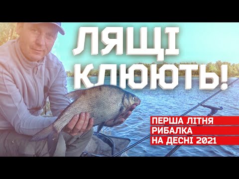 Видео: ЛЯЩІ КЛЮЮТЬ НА ФІДЕР! Перший літній виїзд на Десну 2021!