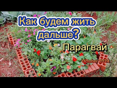 Видео: Как будем жить дальше? в #парагвай #paraguay