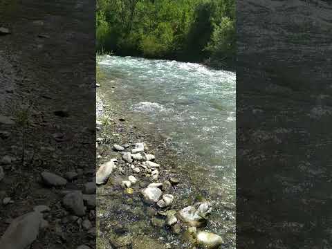 Видео: Истинное богатство!