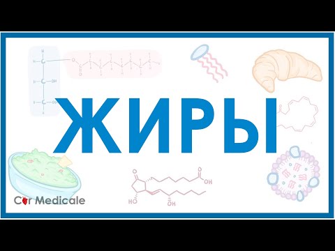 Видео: Жиры - насыщенные, ненасыщенные, омега-3/6/9, суточная потребность