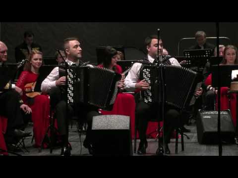 Видео: Виктор Гридин "Утушка луговая" Sib-Duo