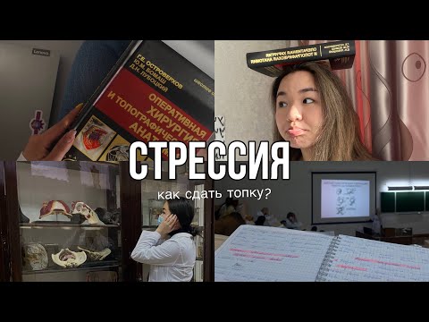 Видео: СтрЕССИЯ | как сдать топку? | 3 курс  #ОмГМУ #топка