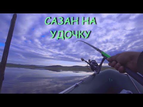 Видео: САЗАН НА УДОЧКУ.