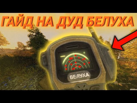 Видео: ГАЙД НА НОВЫЙ ДЕТЕКТОР БЕЛУХА В STALLCRAFTX