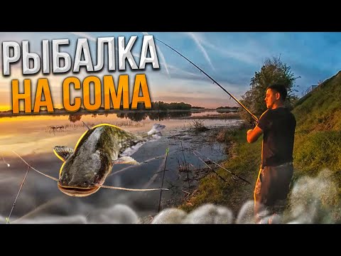 Видео: РЫБАЛКА НА СОМА.С ночевкой на берегу реки Волга.