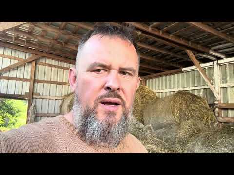 Видео: Перша двійня. Сіра налякала | Private Milk | Михайло Травецький | Велесова ферма