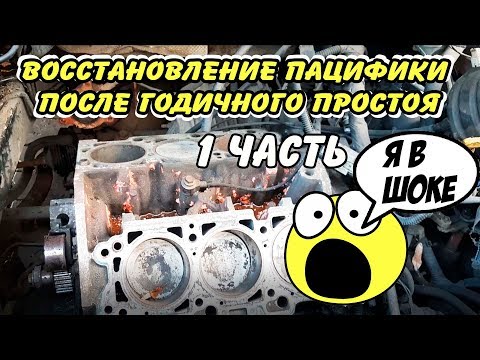 Видео: РЕМОНТ ПАЦИФИКИ 3,5 ЛИТРА ПОСЛЕ ГОДИЧНОГО ПРОСТОЯ