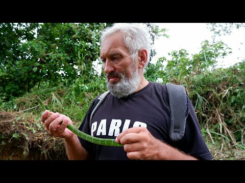 Видео: Бизнес на Филиппинах или как мы потратили все наши деньги.