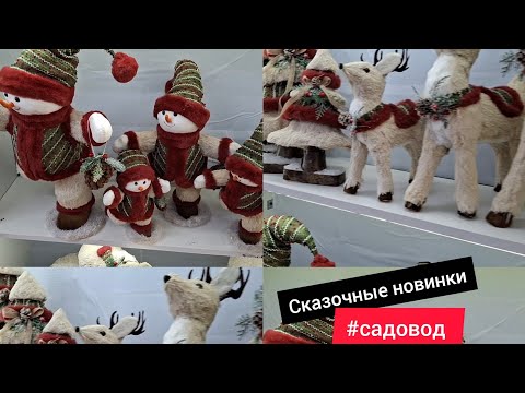 Видео: РЫНОК САДОВОД💥СКАЗОЧНЫЕ НОВИНКИ 🎄НОВОГОДНИЙ ДЕКОР 2026🎄#обзор #скидки САДОВОД /ОБЗОР 