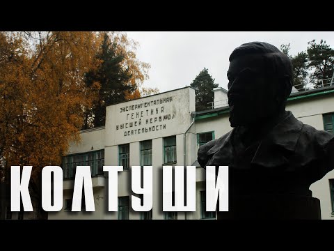 Видео: КОЛТУШИ | ГОРОДОК ПАВЛОВА | КОЛТУШСКИЕ ВЫСОТЫ | НОВЕНЬКИЙ В СЕМЬЕ ЛЕНИНГРАДСКОЙ ОБЛАСТИ