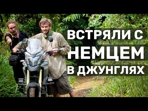 Видео: Мой новый напарник из Германии.