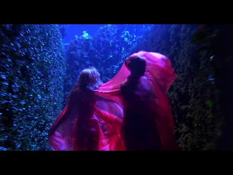 Видео: гр. Мельница. Полнолуние.