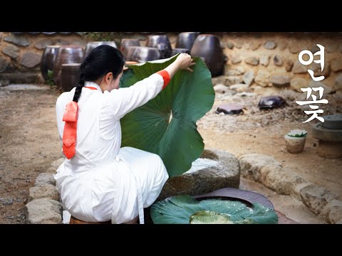 Видео: Лотос, который дарит благодеяния🪷 | Ешьте ароматный рис из листьев лотоса🍛 с бабушкой👵🏻
