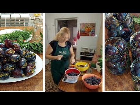 Видео: Сливы на Зиму. Ещё Один Рецепт Вкуснейших Слив