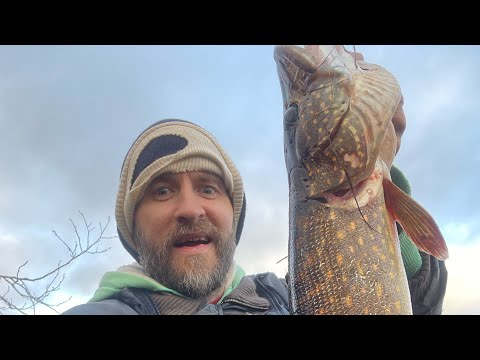 Видео: Рыбалка в октябре, щука на спиннинг, осенняя рыбалка на хищника #рыбак #рыбалка #спінінг #щука #топ 
