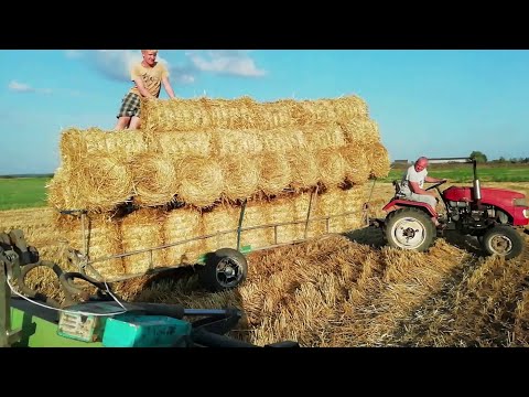 Видео: Прессую солому пресс 0850, модернизация обмотчика  Заготовка соломы минитрактором.