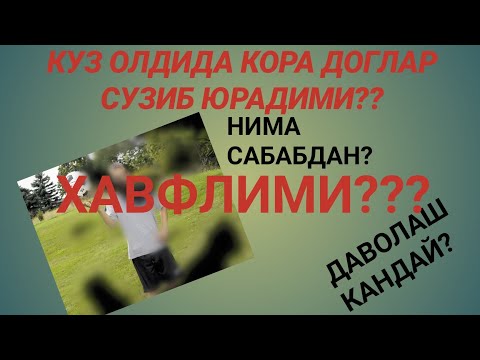 Видео: КУЗ олдида кора доглар сузиб юрадими нима учун даволаш мумкинми