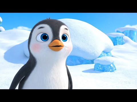 Видео: Пингвин строит иглу из яиц 🏠