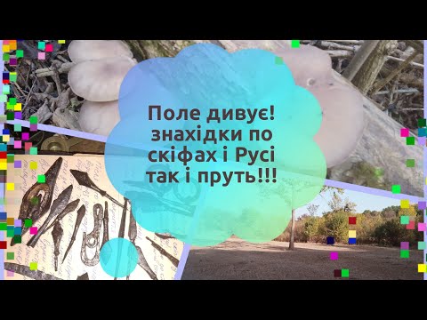 Видео: 🔥Поле всіяне вістрями стріл!!!🔥