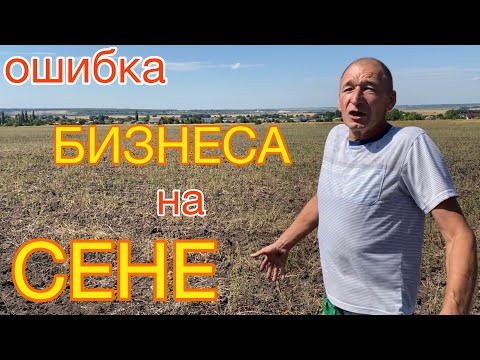 Видео: Как не ПОПАСТЬ на ДЕНЬГИ | ошибки БИЗНЕСА на СЕНЕ