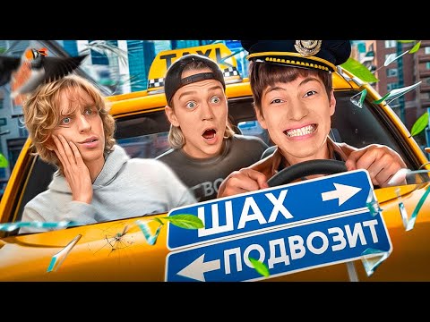Видео: ШАХ ПОДВОЗИТ ПАРАДЕЕВИЧА И КОКОШКУ ( вы дошутились )