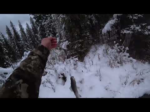 Видео: # Хариусом ЗАБИТА РЕЧКА# Каждый ЗАБРОС РЫБА# Рыбалка Осенью в НЕПРОЛАЗНОЙ Тайге# по КОЛЕНО СНЕГА!