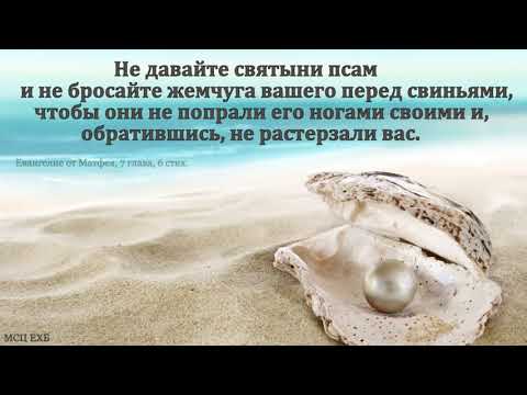Видео: "Не давайте святыни псам ... ". Ф. Бальжик. МСЦ ЕХБ.