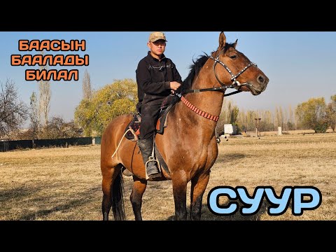 Видео: МЫНДАЙ БАА БИЛАЛДА ЭЛЕ БАР