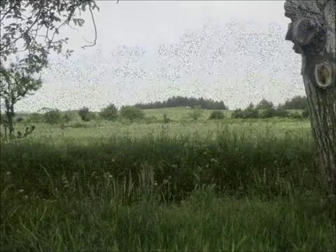 Видео: FROM PLEVEN DISTRICT / part 16/. Згалево, община Пордим