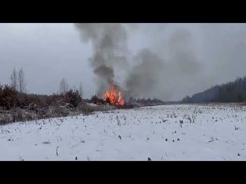 Видео: Раскорчевка полей ДТ-75 ( ЭХО 0х) продолжение!!!