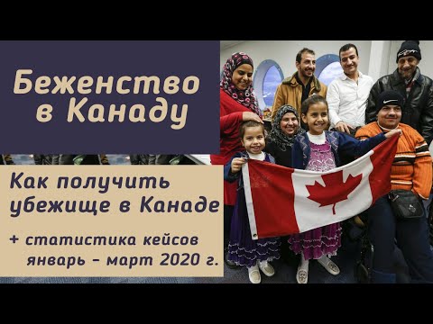 Видео: БЕЖЕНСТВО в Канаду. Как происходит пошагово процесс получения убежища в Канаде.