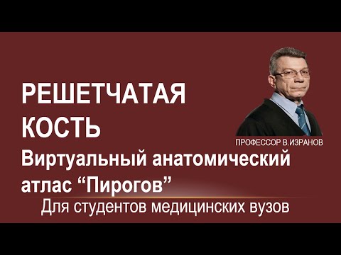 Видео: Решетчатая кость